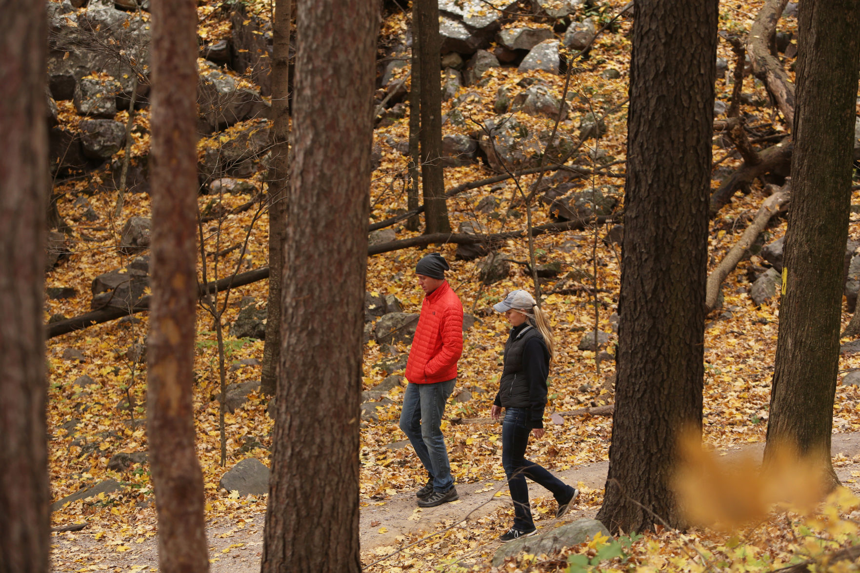 Changes to funding for state forests and parks